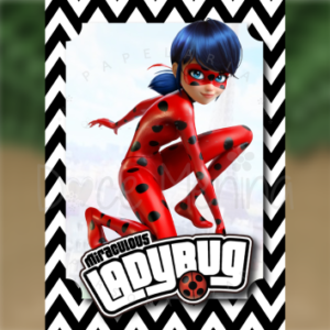 Caderno Brochura Universitário LadyBug 2