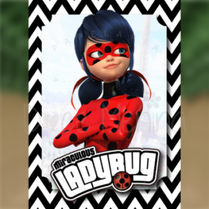 Caderno Brochura Universitário LadyBug 3